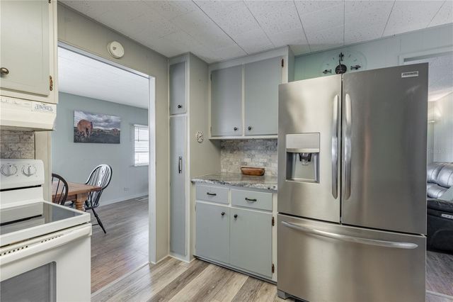 1136 RUE DE DORE, Tavares, FL 32778