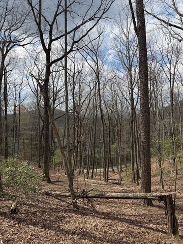 57 Laurel Lane, Ellijay, GA 30536