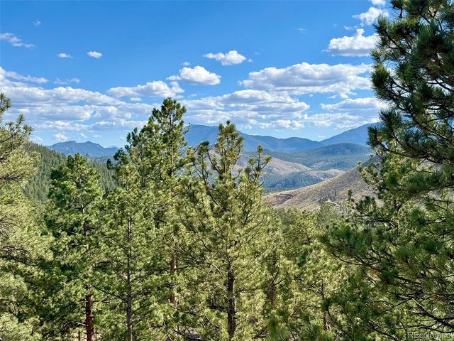 15194 S Swiss Road, Pine, CO 80470
