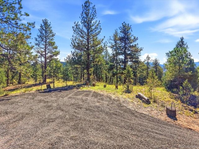 15194 S Swiss Road, Pine, CO 80470