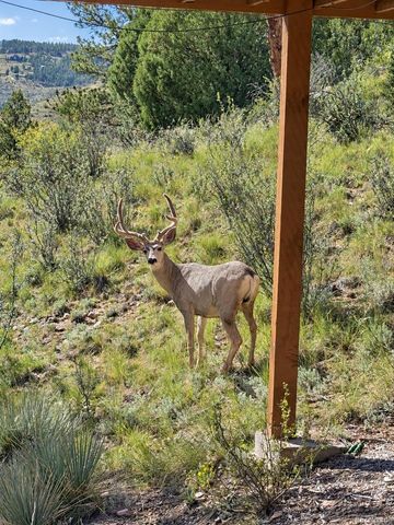 15194 S Swiss Road, Pine, CO 80470