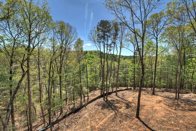 394 Blackberry Circle, Ellijay, GA 30536