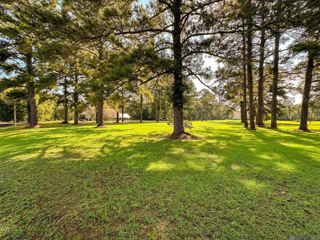 9693 S Tiger Bend Rd, Saint George, LA 70817