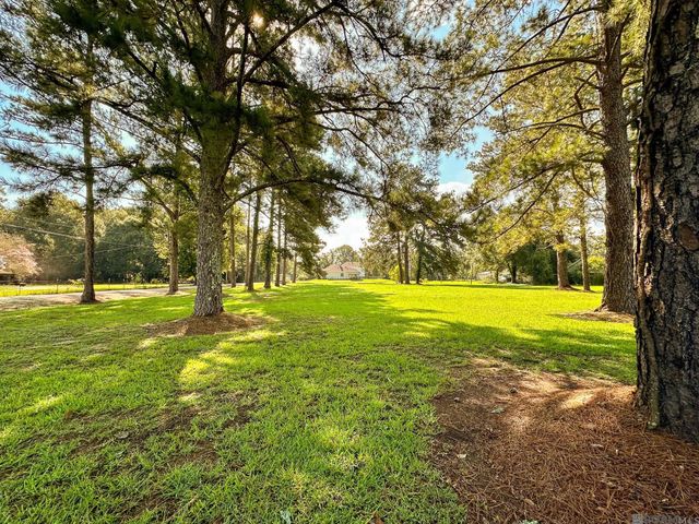9693 S Tiger Bend Rd, Saint George, LA 70817