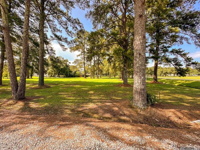 9693 S Tiger Bend Rd, Saint George, LA 70817