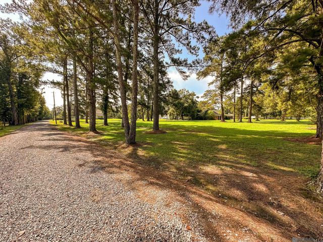 9693 S Tiger Bend Rd, Saint George, LA 70817