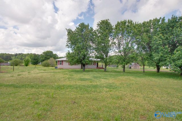 1517 Ready Section Road, Hazel Green, AL 35750