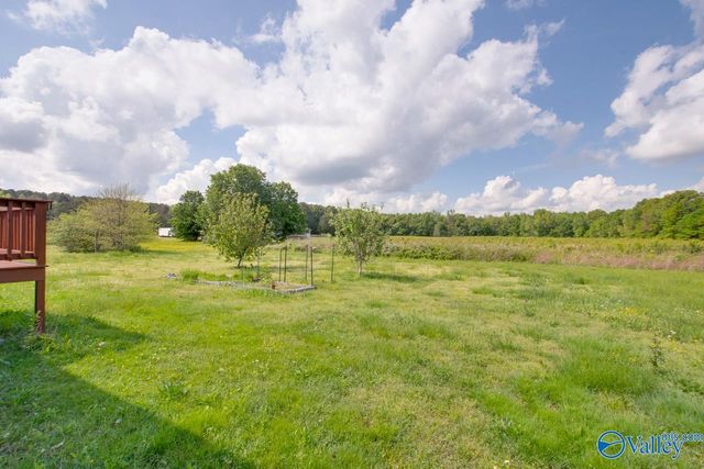 1517 Ready Section Road, Hazel Green, AL 35750