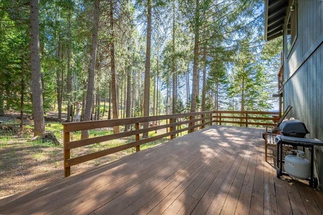 5014 Mount Pleasant Dr, Grizzly Flats, CA 95636