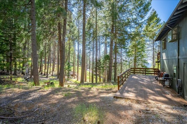 5014 Mount Pleasant Dr, Grizzly Flats, CA 95636
