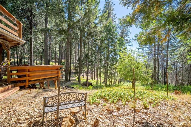 5014 Mount Pleasant Dr, Grizzly Flats, CA 95636