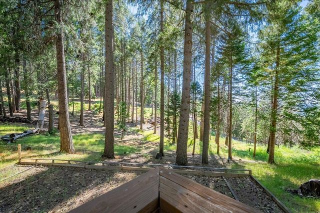 5014 Mount Pleasant Dr, Grizzly Flats, CA 95636