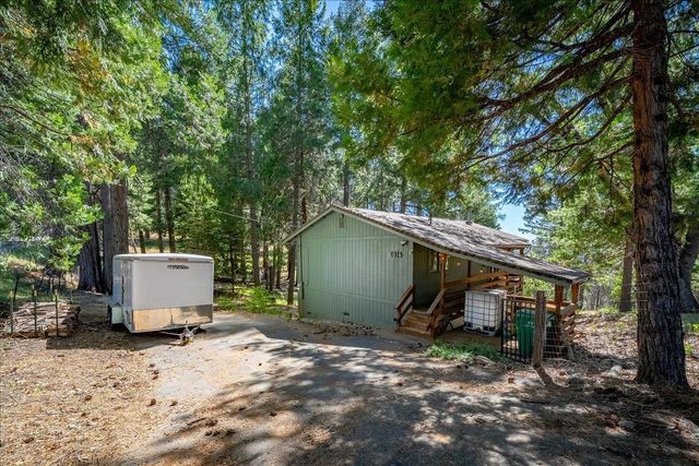 5014 Mount Pleasant Dr, Grizzly Flats, CA 95636