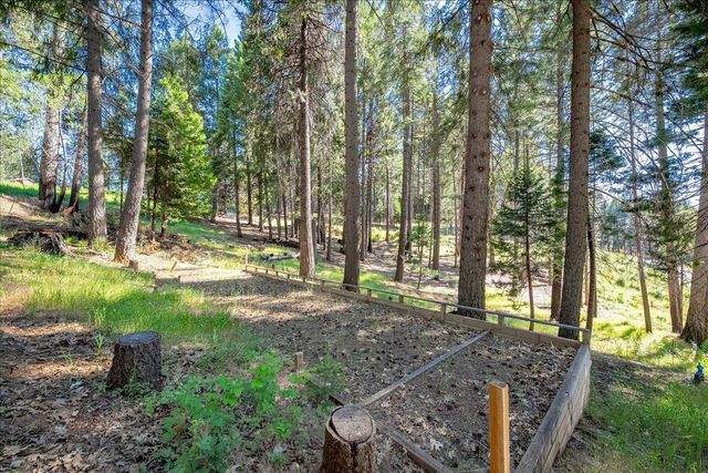 5014 Mount Pleasant Dr, Grizzly Flats, CA 95636