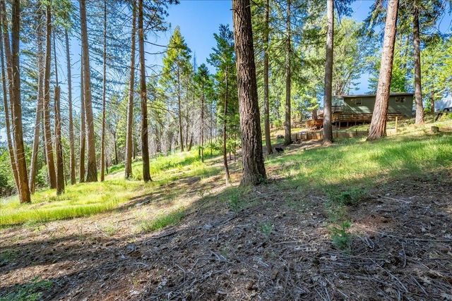 5014 Mount Pleasant Dr, Grizzly Flats, CA 95636