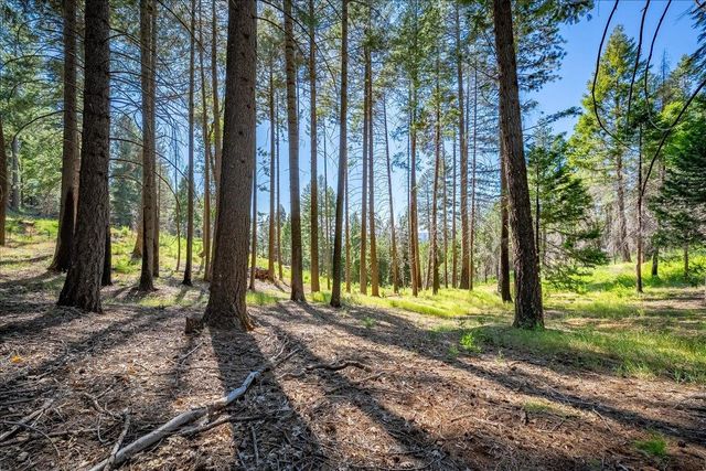 5014 Mount Pleasant Dr, Grizzly Flats, CA 95636