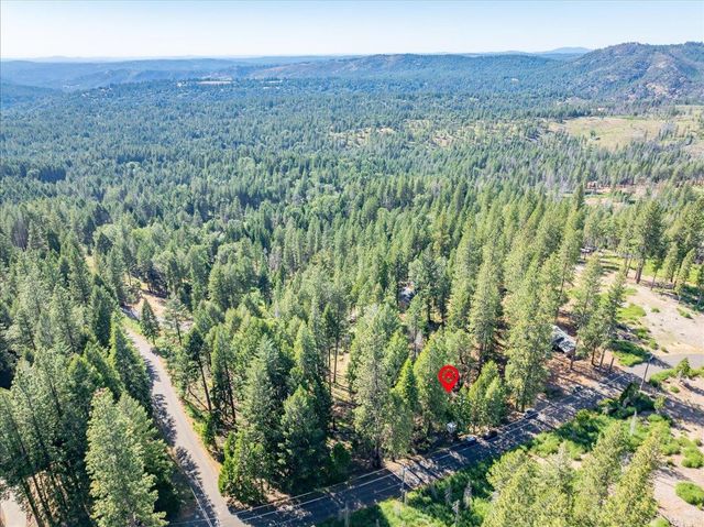 5014 Mount Pleasant Dr, Grizzly Flats, CA 95636