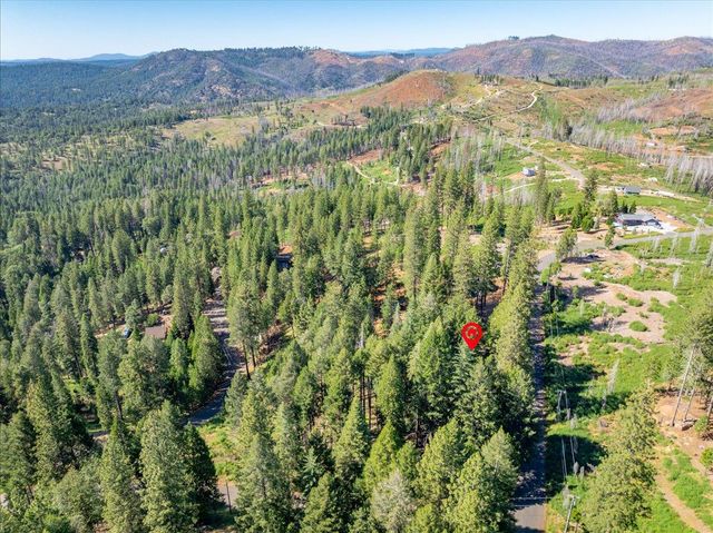 5014 Mount Pleasant Dr, Grizzly Flats, CA 95636