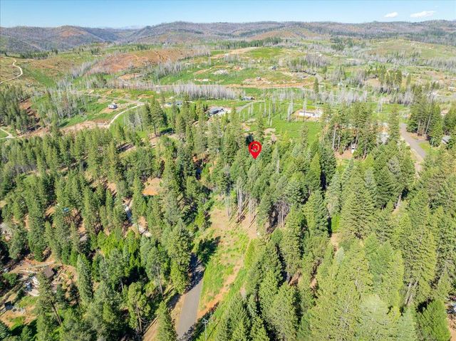 5014 Mount Pleasant Dr, Grizzly Flats, CA 95636
