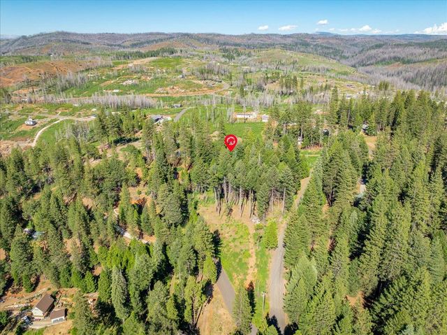 5014 Mount Pleasant Dr, Grizzly Flats, CA 95636