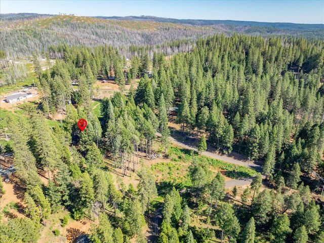 5014 Mount Pleasant Dr, Grizzly Flats, CA 95636
