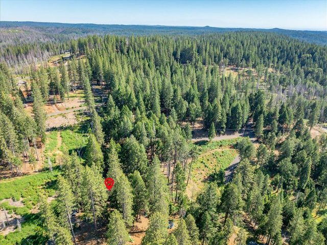 5014 Mount Pleasant Dr, Grizzly Flats, CA 95636