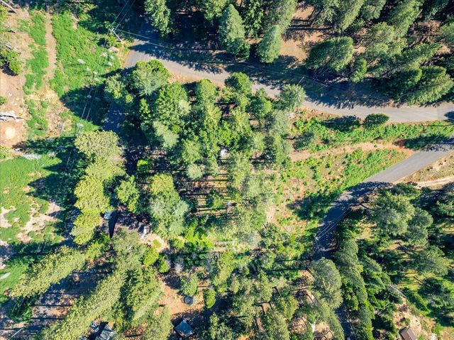 5014 Mount Pleasant Dr, Grizzly Flats, CA 95636