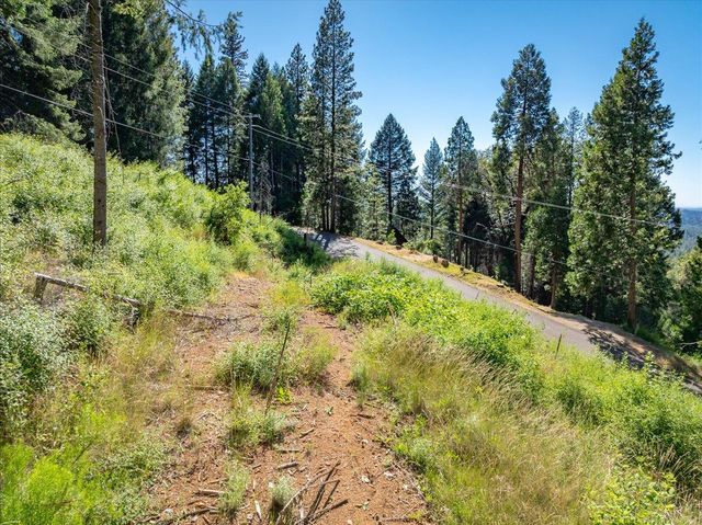 5014 Mount Pleasant Dr, Grizzly Flats, CA 95636