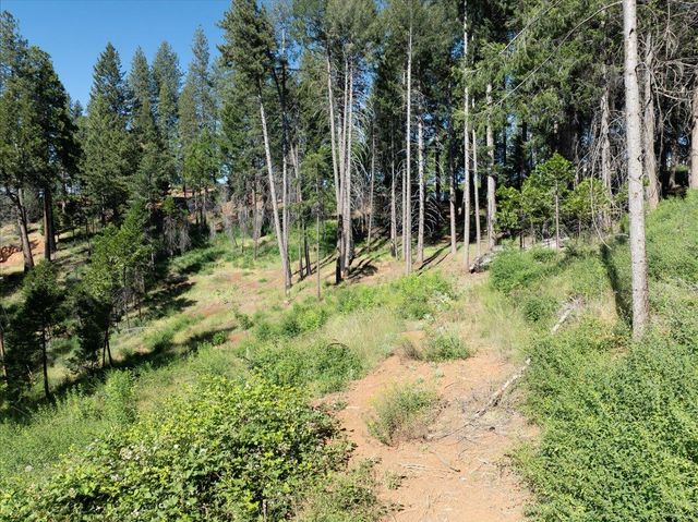 5014 Mount Pleasant Dr, Grizzly Flats, CA 95636