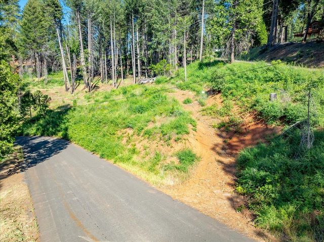 5014 Mount Pleasant Dr, Grizzly Flats, CA 95636