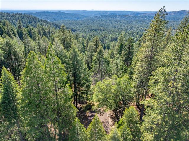 5014 Mount Pleasant Dr, Grizzly Flats, CA 95636