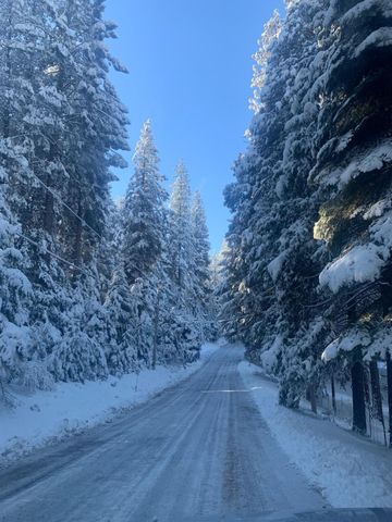 5014 Mount Pleasant Dr, Grizzly Flats, CA 95636