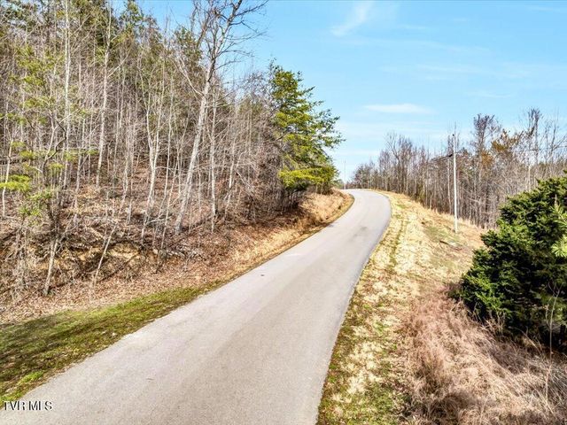 Lot 553 Whistle Valley Road, New Tazewell, TN 37825