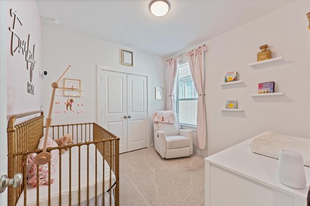 19242 Olive Heath Lane, Magnolia, TX 77355
