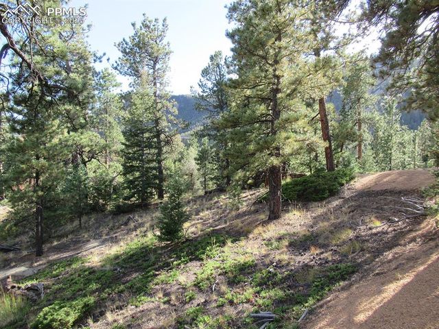 213 Coffee Pot Road, Manitou Springs, CO 80829