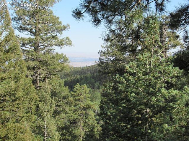 213 Coffee Pot Road, Manitou Springs, CO 80829