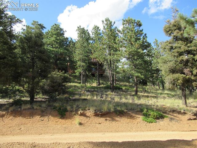 213 Coffee Pot Road, Manitou Springs, CO 80829