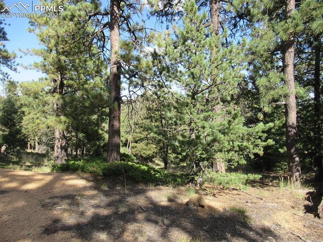 213 Coffee Pot Road, Manitou Springs, CO 80829