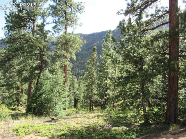 213 Coffee Pot Road, Manitou Springs, CO 80829