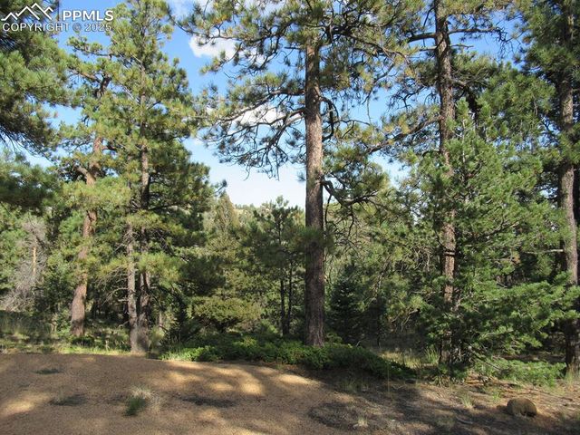 213 Coffee Pot Road, Manitou Springs, CO 80829