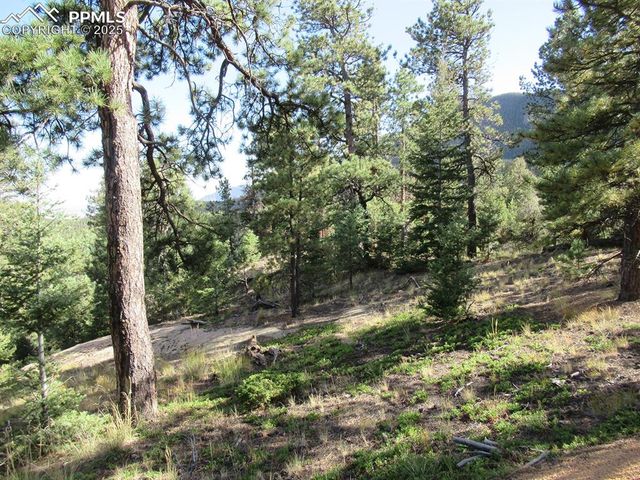 213 Coffee Pot Road, Manitou Springs, CO 80829