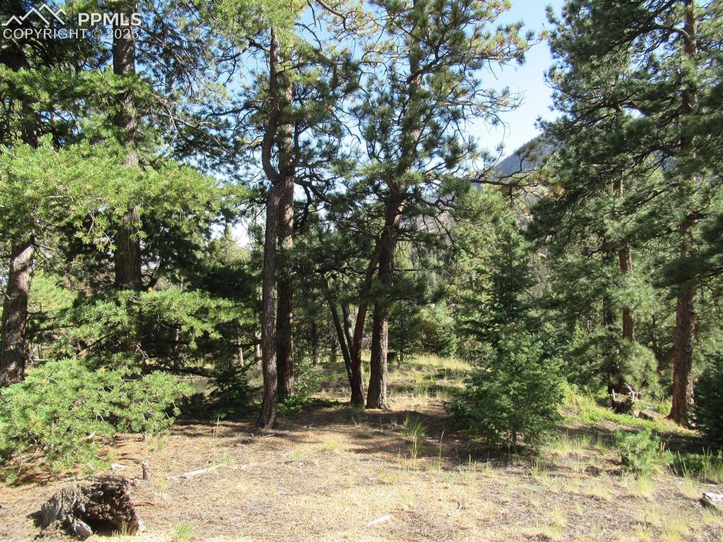 213 Coffee Pot Road, Manitou Springs, CO 80829 — photo 2