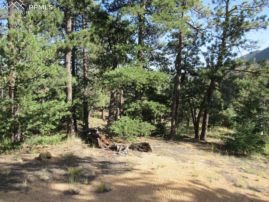 213 Coffee Pot Road, Manitou Springs, CO 80829 — photo 5