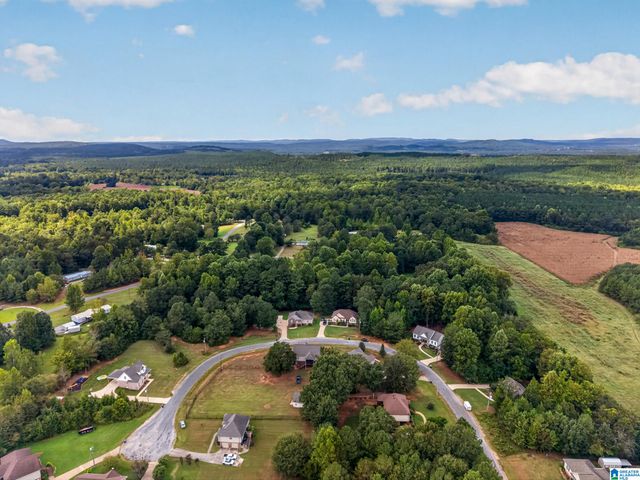120 TRAPPERS WAY, Springville, AL 35146