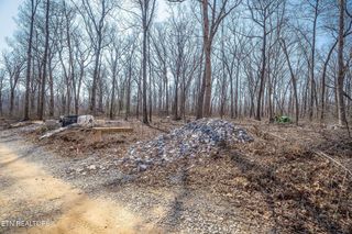 Morgan Circle 51/52, Crossville, TN 38572