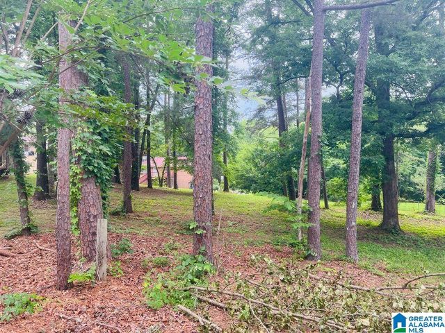 9906 BATES AVENUE, Birmingham, AL 35217