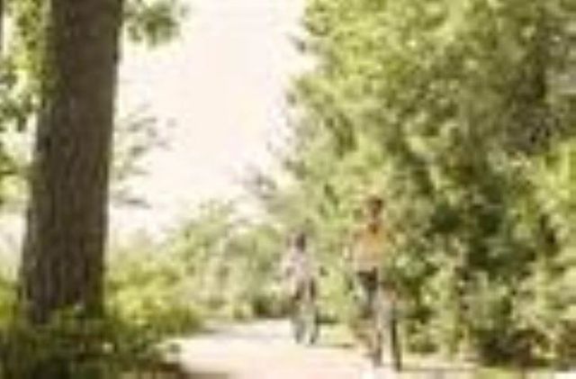 359 Kindred Spirit Dr, Longs, SC 29568