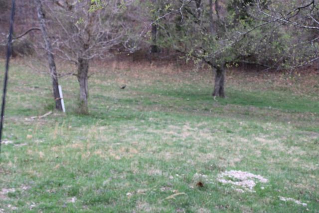 416 New Hope Road, Marshall, AR 72650