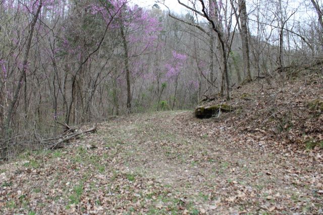 416 New Hope Road, Marshall, AR 72650