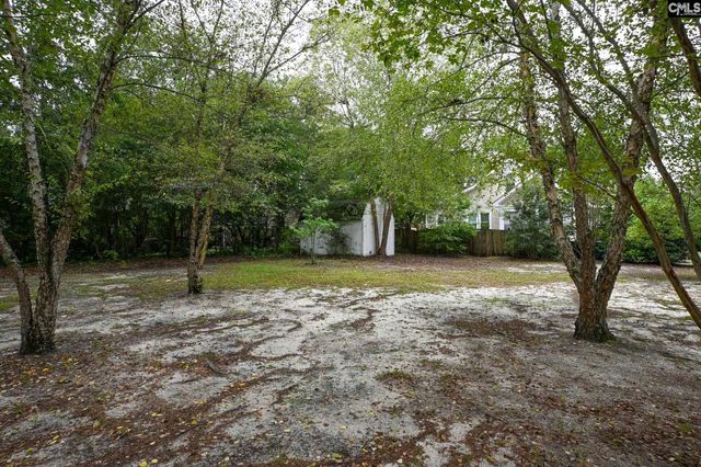 131 Hendrix Street, West Columbia, SC 29169